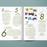 Nido Booklet / Editorial Design